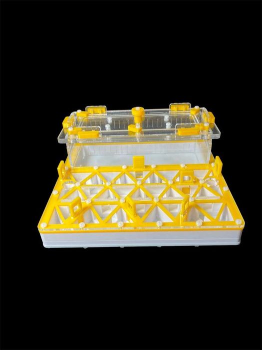 Профессиональная муравьиная ферма формикарий для муравьев в Украине