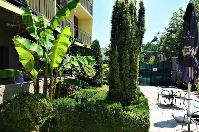 Отдых в Болгарии, центр Солнечного Берега, комфортная студия, аренда