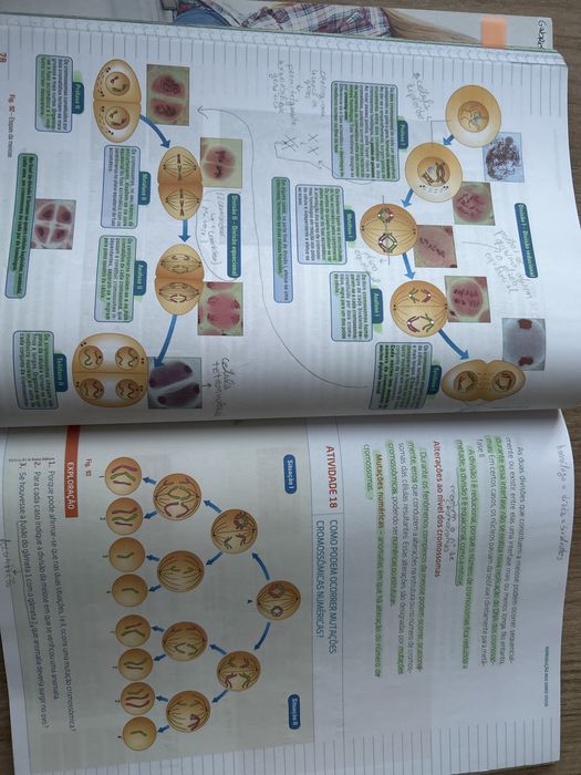 Manual Terra, Universo de Vida - Biologia e Geologia - 1ª Parte 11 ano
