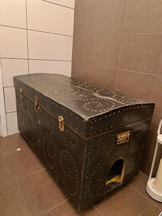 Arca antiga para gatos