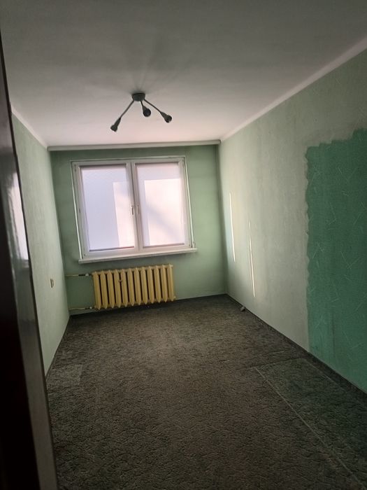 Zdjęcie 5