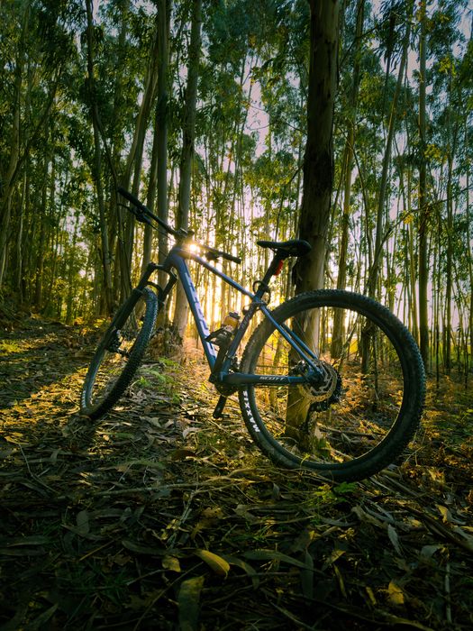 Bike Scott aspect 940  29’