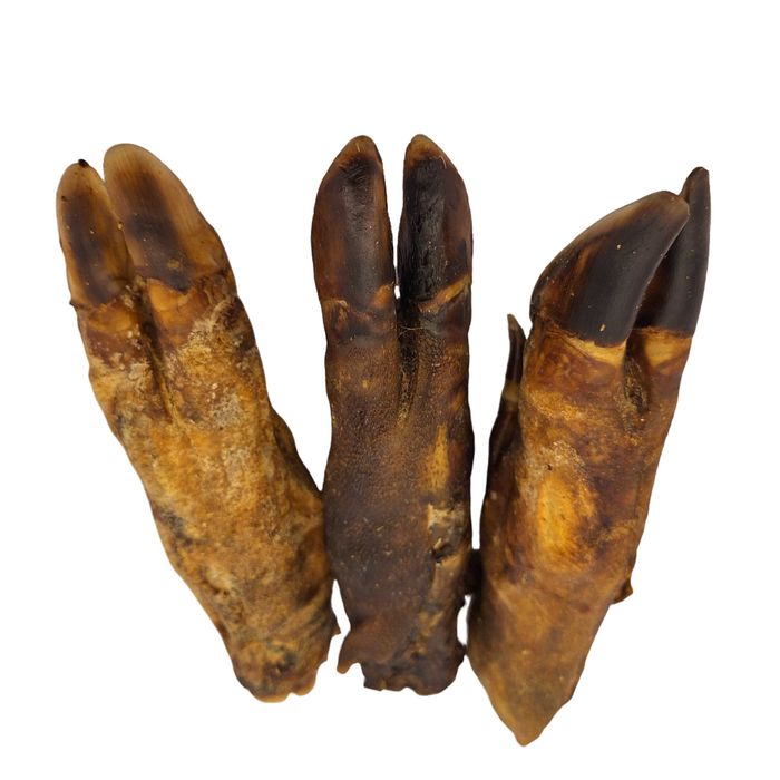 Noga dzika DUŻA 200g 1szt. naturalne gryzaki KTMgryzaki