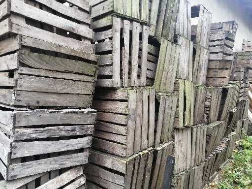 Skrzynki na podpalke