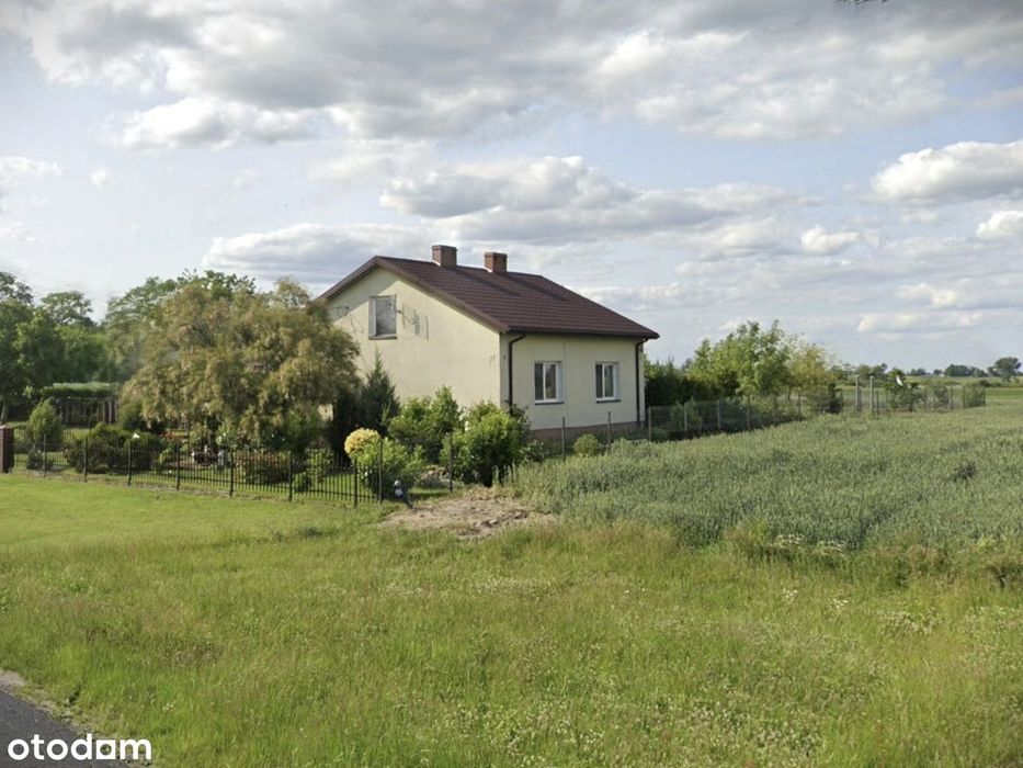 House in Dąbie Kujawskie, powiat włocławski - Widok 2