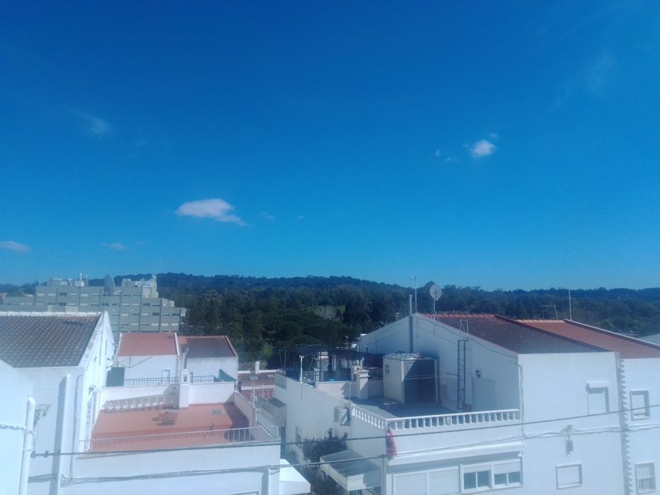 Moradia V3 com Terraço