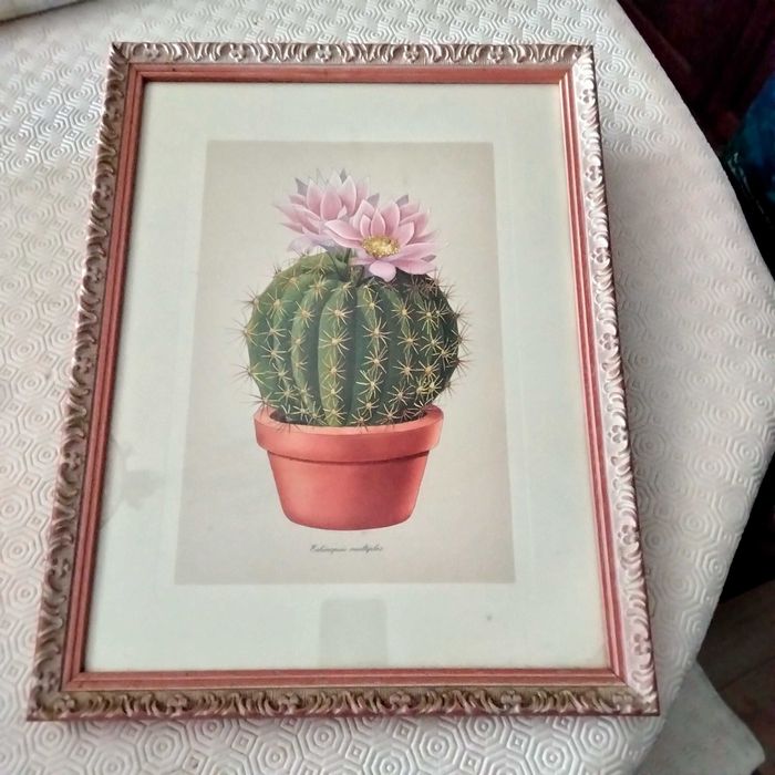 Conjunto de Quadros