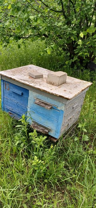 Продам вулики без бджіл