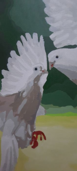 Продам картину по номерам/голуби