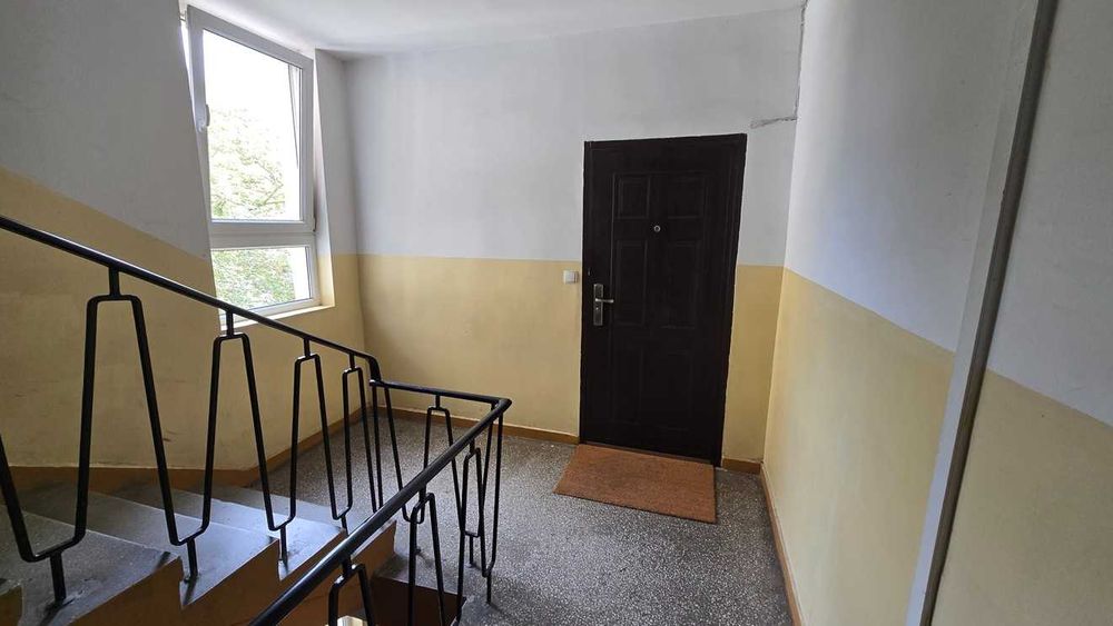 Zdjęcie 8