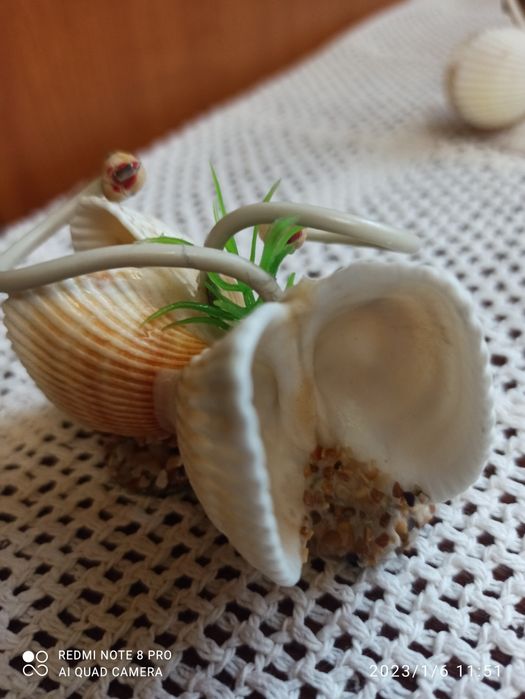 Wyroby z muszli 4 sztuki