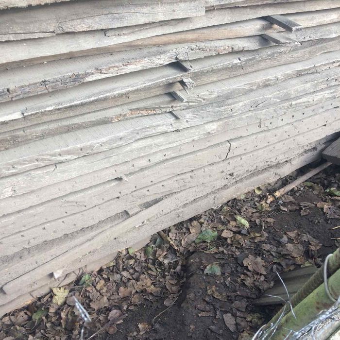 Дубова дошка 6 метрів