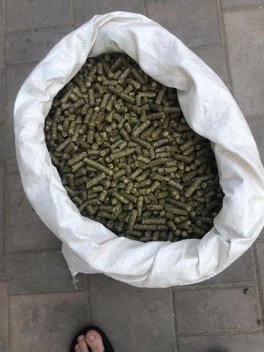 Сіно люцерні гранульоване