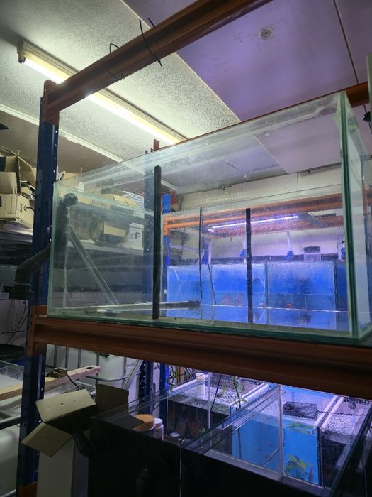 Aquario 91x58x45 furo 32 mm