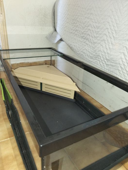 Terrário Tortum para semi aquáticos