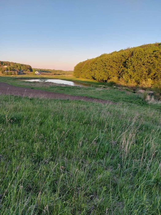 Продам земельну ділянку в селі Банюнин, Львівська обл.