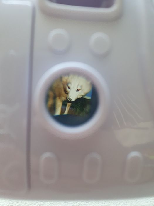 aparat fotograficzny zabawka dla dzieci smyk żyrafka discovery camera