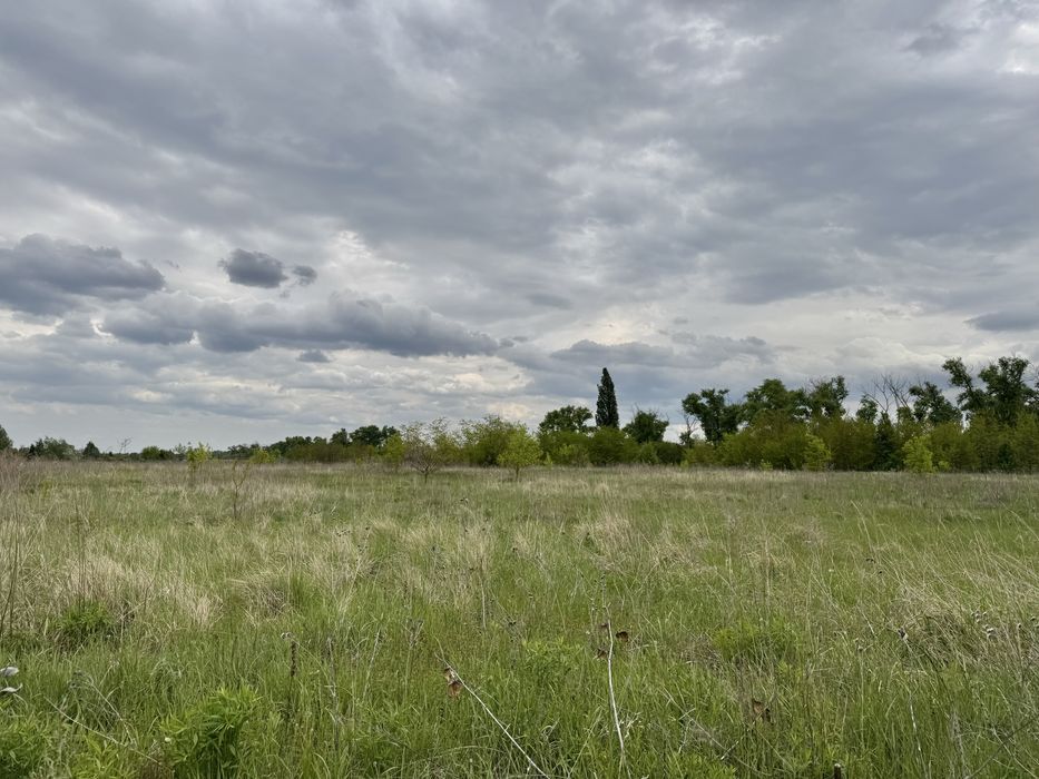 Земельна ділянка фасадна! 3га!! Бориспіль!