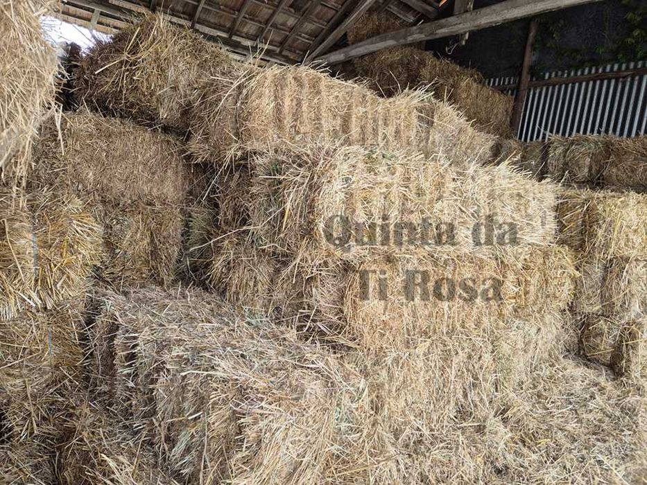 Fardos / Palha / Feno  2025