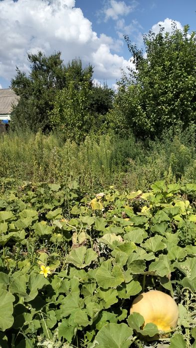 Земельна ділянка під забудову