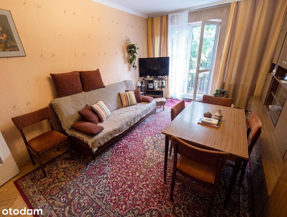 Sosnowiec Śródmieście ul. Emila Zegadłowicza ⭐46m2 // 2 pok + balkon