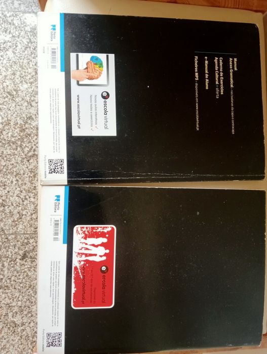 Livro de fichas e manual de francês