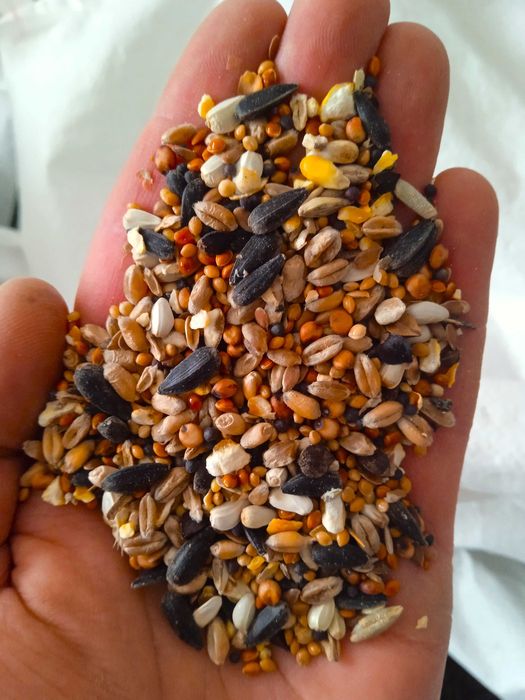 Pokarm dla dzikich ptaków zimujących karma do karmnika 15kg