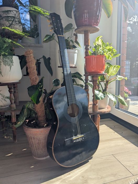 Gitara klasyczna S&M