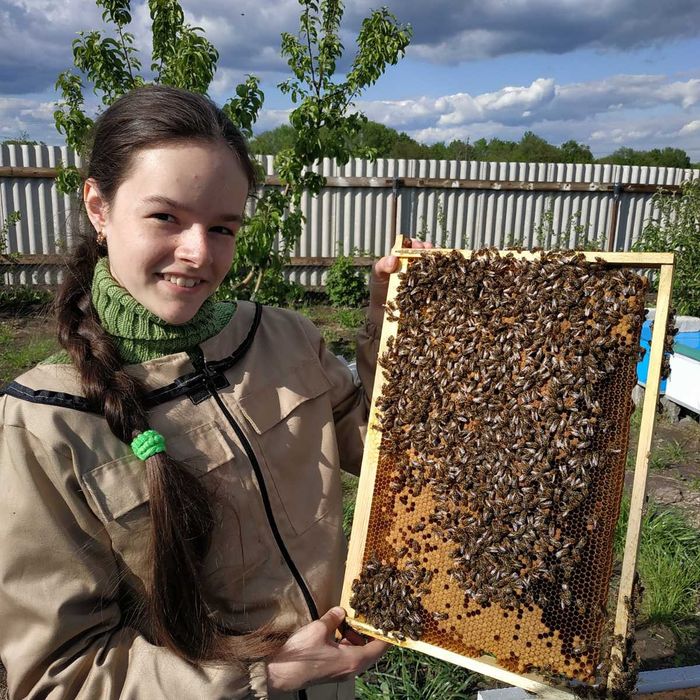 Бджоломатки. Бджолопакети карніка, бакфаст 2025