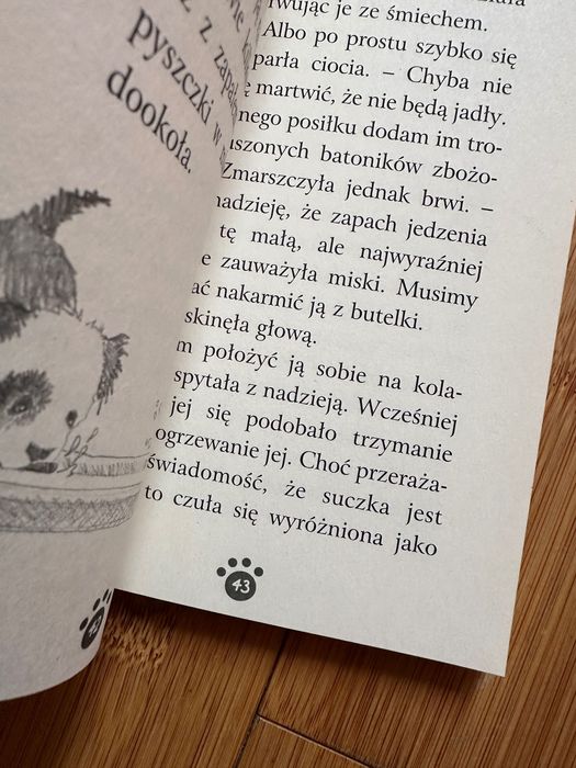 Inka, porzucone szczenię Holly Webb książka seria Zaopiekuj się mną