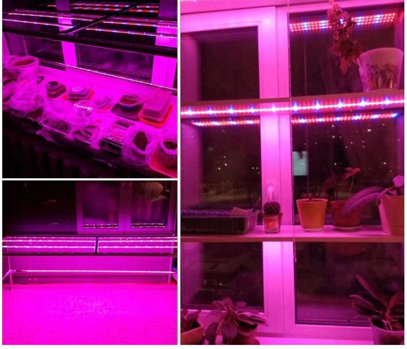 Lampa LED Grow 2×80 cm + zasilacz i uchwyty