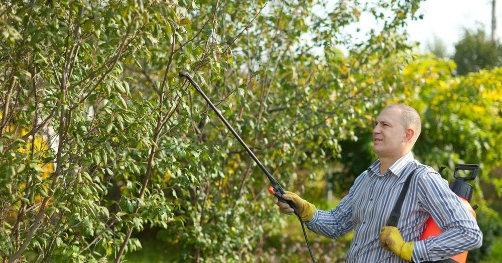 Обрізка дерев,догляд за ділянкою, с.Пухівка, керуючий інженер
