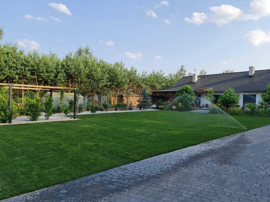 Trawa z rolki, trawnik w rolkach - Producent