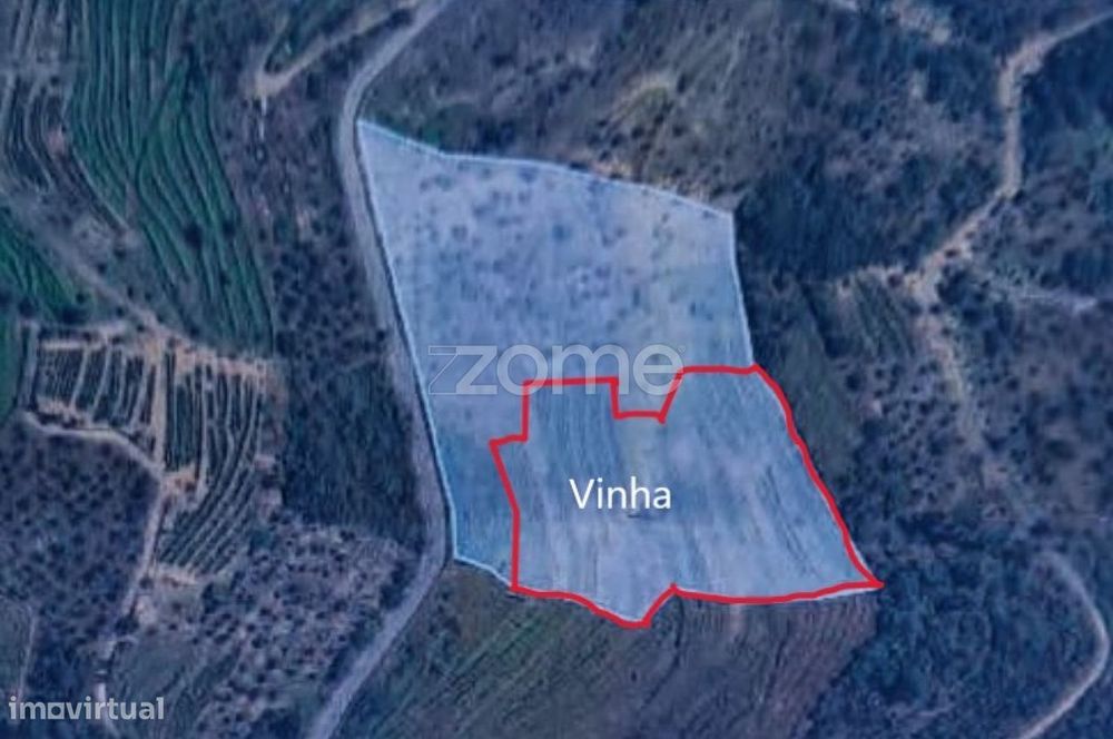 Terreno Rústico, S. Cristovão do Douro