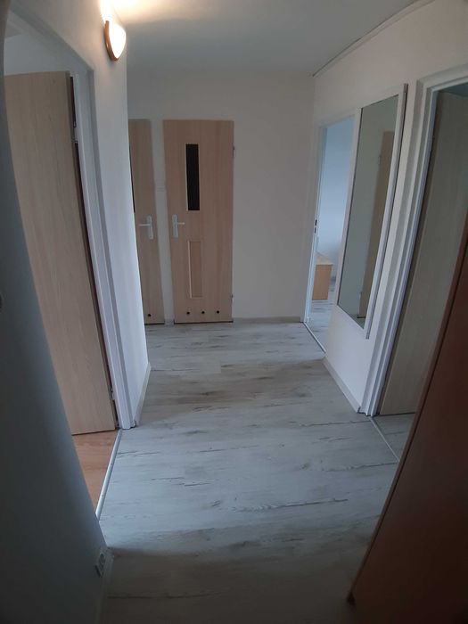 pokój jednoosobowy podgrodzie od stycznia