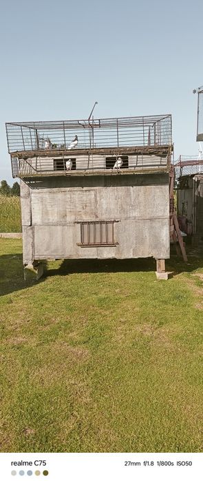Gołębnik dla hodowcy