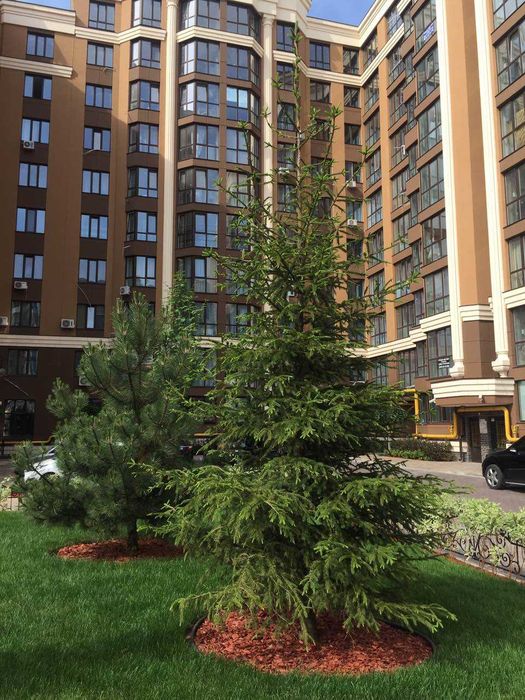 ‼️З ДОКУМЕНТАМИ‼️Продам 1к квартиру 41м2 ЖК  Софія Резиденс Резиденція