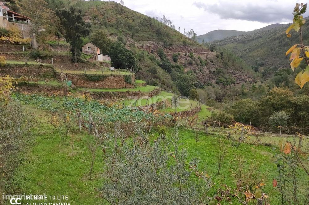 Quintinha em Moldes - Arouca