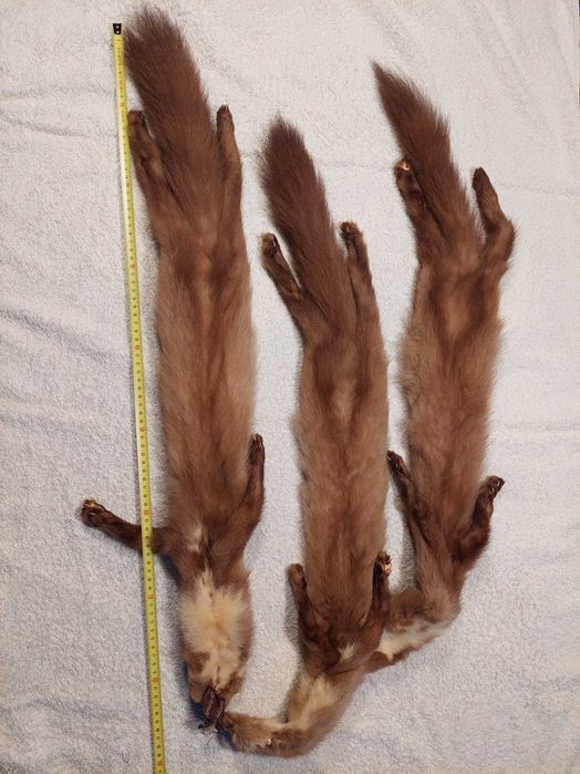 Gola Vintage de Vison – Meados do Século XX