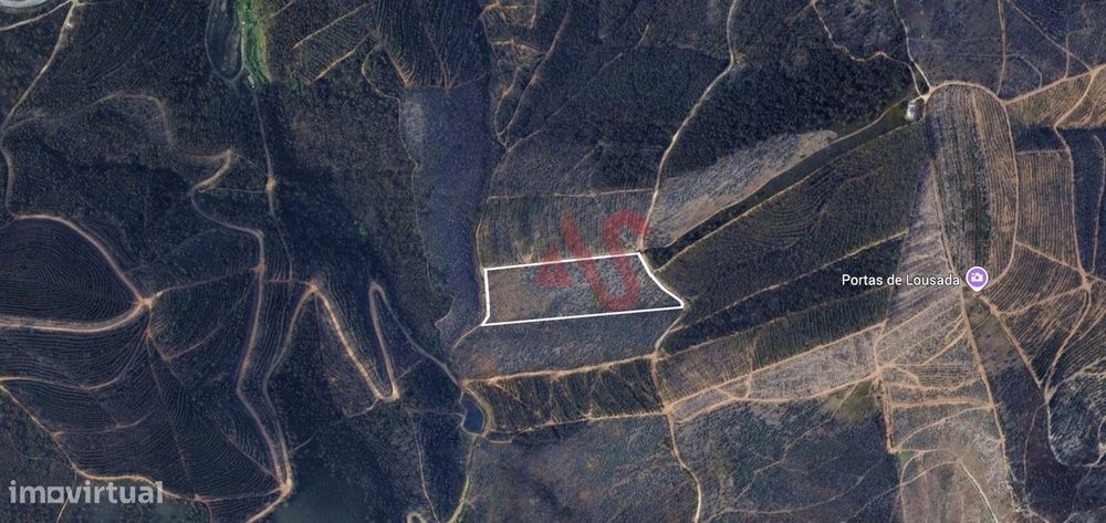 Forest Land Plot of 20,000 m² in Silvares, Lousada