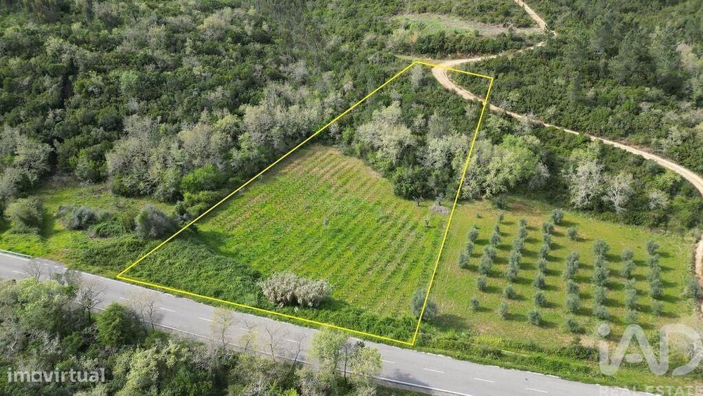 Terreno Agrícola em Podentes