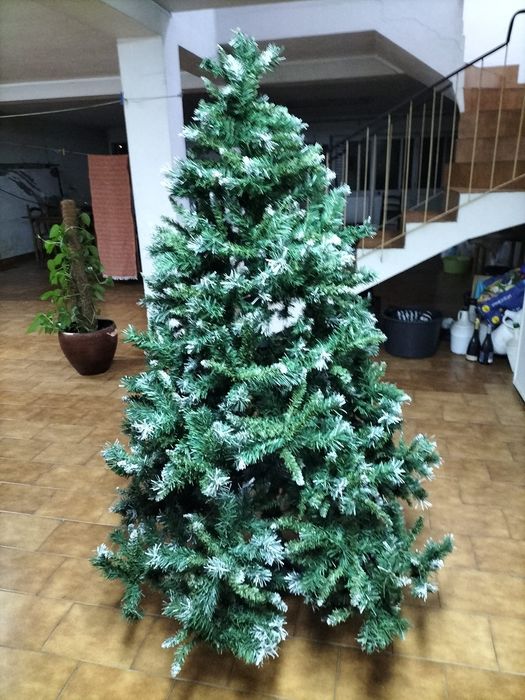 Árvore de Natal 1,70