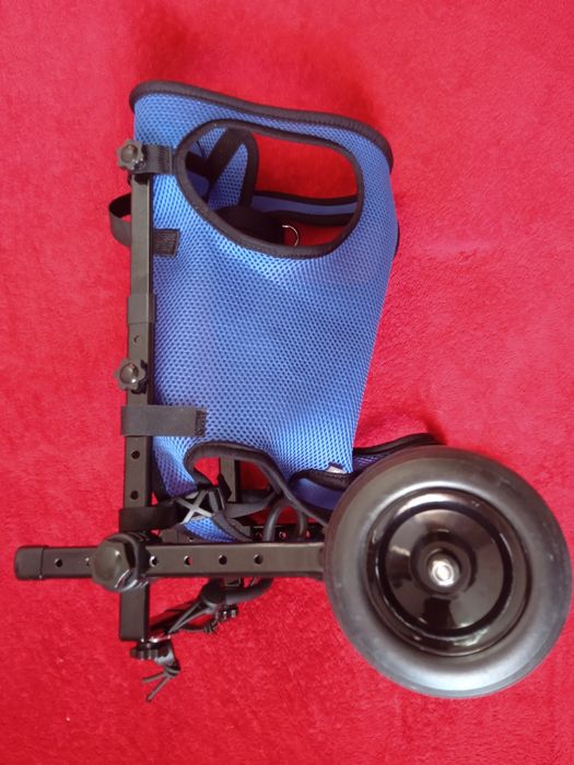 Інвалідний візок для маленьких собак