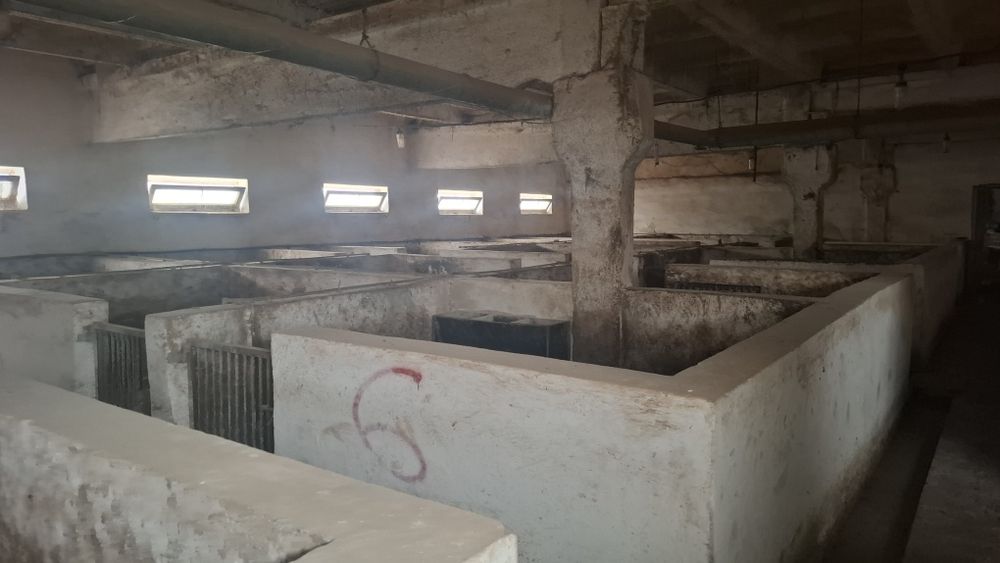 Продам  діючу ферму