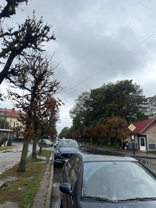 Оренка приміщення Коломия