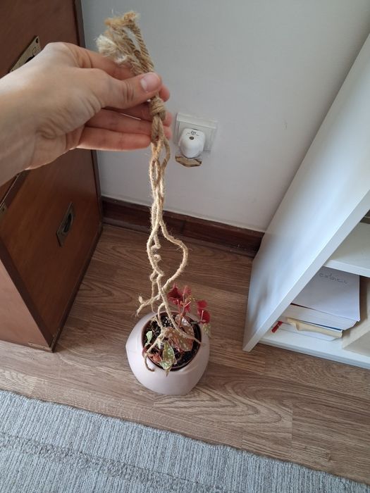 Vaso cerâmica pendurar
