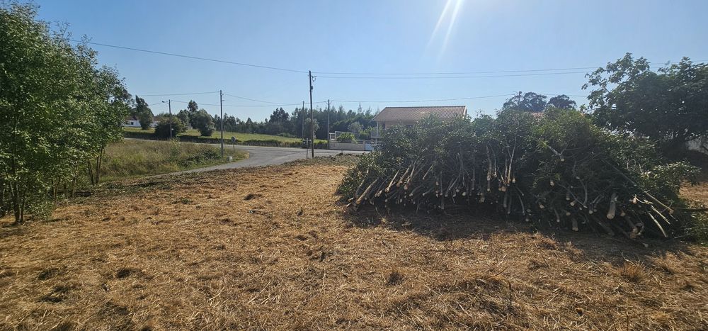 Limpezas de terrenos