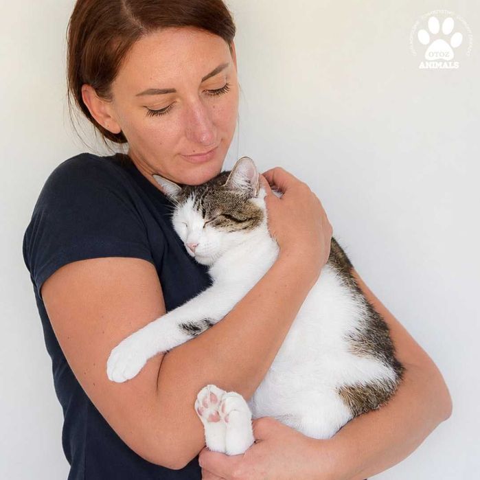 Wesoły kocurek do adopcji! Poznajcie Kminka!