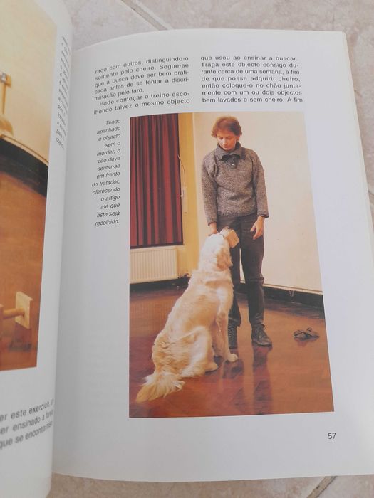 Como treinar o seu Cão