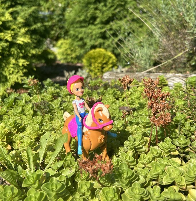 Barbie On The Go Kucyk z lalką